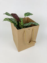 Load image into Gallery viewer, Kraft Paper Gift Bag with Rope Handles - Tall
