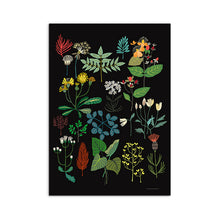 Load image into Gallery viewer, Plant Study A3 Art Print
