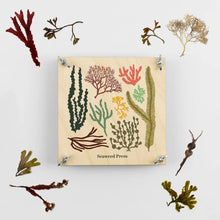 Load image into Gallery viewer, Seaweed Flower Press Kit
